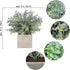 Auelife Artificial Plants 3PCS 9-10IN Mini Potted Plants, Fake Eucalyptus / Glossy Grass / Pale Grass Plants (Square Pot) Faux Lifelike Flower Greenery Decor for Home Office Farmhouse Bathroom
