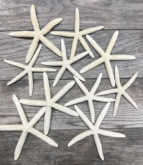 Starfish Decor - 10 White Finger Star Fish 6-8 Inch - Starfish for Crafts - White Starfish Wall Décor - Beach Wedding Starfish - Beach Starfish Décor - Star Fish Decorations