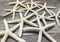 Starfish Decor - 10 White Finger Star Fish 6-8 Inch - Starfish for Crafts - White Starfish Wall Décor - Beach Wedding Starfish - Beach Starfish Décor - Star Fish Decorations
