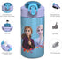 Zak Designs Disney Frozen 2 Kids Water Bottle Set with Reusable Straws and Built in Carrying Loops, Made of Durable Stainless Steel & Plastic, Leak-Proof Bottle Design (Elsa/Anna, BPA-Free, 2pc Set)