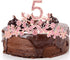 5th Birthday Gifts for Girls, 5th Birthday Tiara and Sash, Its My 5th Birthday Sash and Crystal Tiara, 5th Birthday Decorations for Girls, 5th Birthday Party Supplies, Happy 5th Birthday