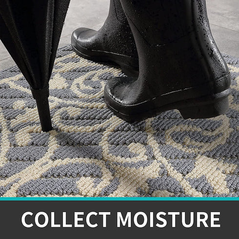 DEXI Door Mat Indoor Rugs for Entryway Floor Mats Inside Doormat Front Entrance Rug Entry Non Slip Washable,19.5"x31.5",Gray