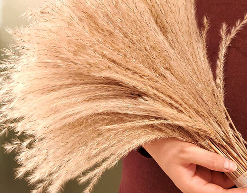 100 pcs Fluffy Pampas Grass Reeds Dried Flower, 17" Tall Not Sparse Natural Plant for Boho Wedding Bouquet Arrangement, Rustic Floral Home Decoration, Vase Filler for Living Room Decor for All Seasons