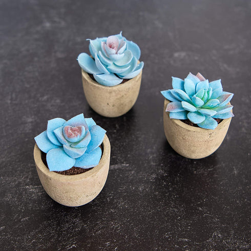 Set of 3 Succulents Plants Artificial Plants Home Decor Indoor Fake Plants Bedroom Aesthetic, Small Fake Plants Living Room Decor Office Desk Decor Women Fake Plant Decor Bathroom Shelf Decor