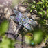 H&D HYALINE & DORA Crystal Dragonfly Figurine Glass Animal Figurines Collectibles Home Decor Paperweight