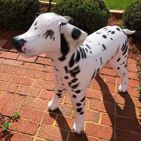 Jet Creations Inflatable Dalmatian Dog 39" Long Stuffed Animals Party Supplies An-DALM, Multicolor
