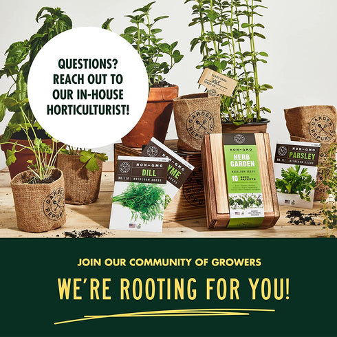 Herb Garden Seeds for Planting - 10 Culinary Herb Seed Packets Kit, Non GMO Heirloom Seeds, Plant Markers, Wood Gift Box - Home Gardening Gifts for Gardeners