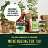 Herb Garden Seeds for Planting - 10 Culinary Herb Seed Packets Kit, Non GMO Heirloom Seeds, Plant Markers, Wood Gift Box - Home Gardening Gifts for Gardeners
