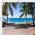 Tropical Beach Photo Booth Backdrop - 5.9x5.9ft, Perfect Party Decoration for Birthday, Wedding, Luau, Moana Party