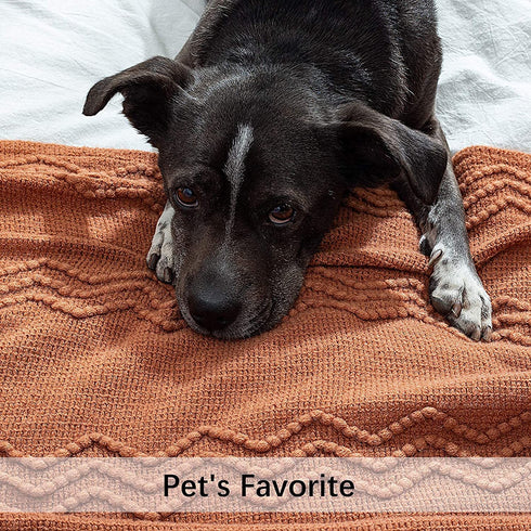 MIULEE Throw Blanket for Couch Textured Knitted Blanket with Tassels Cozy Woven Boho Bed Blanket for Sofa Bed Chair Wave Pattern 50"x60", Orange Yellow