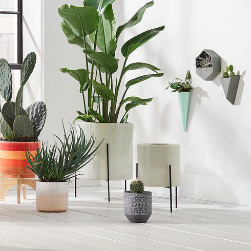 Amazon Brand Rivet Modern Concrete Indoor Outdoor Planter Pot With Painted Accents - 5 Inch, Grey and White