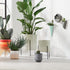 Amazon Brand Rivet Modern Concrete Indoor Outdoor Planter Pot With Painted Accents - 5 Inch, Grey and White