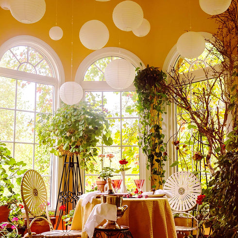 Avoseta Paper Lanterns - 20 Piece Set - Party Decorations in Sizes of 6", 8", 10", 12" (5 of Each, White)
