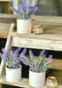 Kurrajong farmhouse Fake Lavender Artificial Plant | Artificial Lavender in White Pot | Realistic Faux Lavender Plant | Stunning Lavender Faux Plants Indoor | Lavender Decor | Fake Lavender Plant