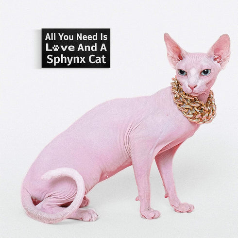 JennyGems Sphynx Sign, All You Need is Love and A Sphynx Cat, Wood Sign, 9.5x5.5 Inches, Sphynx Mom, Sphynx Gifts, Sphynx Cat, Sphynx Decor, American Made