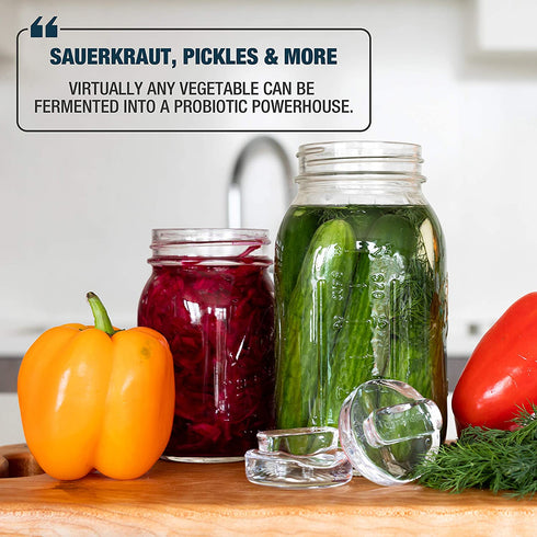 Fermentology Sauer Stone Glass Weights Pickling and Fermenting Weights - Set of 4 - Regular Mouth Mason Jar Fermentation