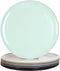 Youngever 10 Inch Plastic Plates, Large Plates, Dinner Plates, Set of 9 (9 Urban Colors)