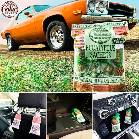 Cedar Sense - Eucalyptus Scented Cedar Sachets 8 Pack Essential Oil Infused Cedar Chips Car Air Freshener Closet Freshener Potpourri Bags Air Fresheners Sachets for Drawers