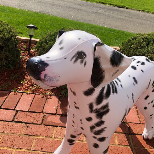 Jet Creations Inflatable Dalmatian Dog 39" Long Stuffed Animals Party Supplies An-DALM, Multicolor