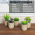 5 Artificial Succulents Plants Artificial Pot Small Fake Plants Bedroom Aesthetic Fake Succulent Plants - Cactus Decor Plants Bedroom Decor Potted Faux Succulents Desk Plant Shelf Decor Living Room