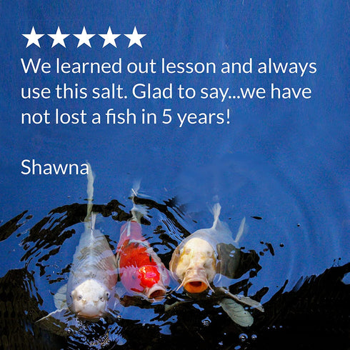 API POND SALT Pond Water Salt 4.4-Pound Container (156C)