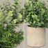 SUNJOYCO 3 Pack Mini Fake Plants, Artificial Potted Plants Faux Greenery Eucalyptus Rosemary Plants for Home Office Table Desk Shower Kitchen Shelf Bedroom Bathroom Decoration Indoor Outdoor Decor
