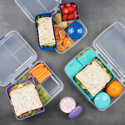Sistema To Go Collection Bento Box Plastic Lunch and Food Storage Container, 55.7 Ounce, Multi Compartment (Color May Vary)