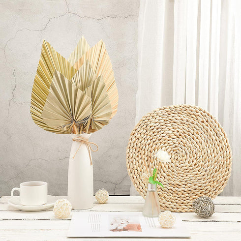 Natural Dried Palm Leaves Real Palm Spears Boho Dried Leaves Decor Tropical Palm Leaves Decoration Artificial Plants Palm Leaves Wedding Home Decor for Wedding Anniversary Home Decor (6 Pieces)