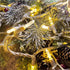 Yirunfa Christmas String Lights 50 Warm White LED T5 Xmas Light 17FT, 120V UL, White Wire Connectable for Outdoor and Indoor Decorations, Wedding, Tree, Garden, Bedroom