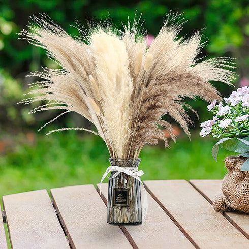 HYGQAXKO 65Pcs Natural Dried Pampas Grass Large, White Fluffy Pampas Grass, Pompass Grass Plant Decor Tall, Pampas Grass Bouquet Decor, Artificial Pompous Grass for Home, Wedding and Party Decor