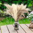 HYGQAXKO 65Pcs Natural Dried Pampas Grass Large, White Fluffy Pampas Grass, Pompass Grass Plant Decor Tall, Pampas Grass Bouquet Decor, Artificial Pompous Grass for Home, Wedding and Party Decor