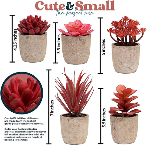 5 Small Fake Plants for Living Room Decor Realistic Mini Artificial Plants & Flowers, Potted Fake Plants Bedroom Aesthetic Bathroom Shelf or Indoor Home Office Desk Faux Succulent Plants Pot Bulk