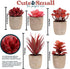 5 Small Fake Plants for Living Room Decor Realistic Mini Artificial Plants & Flowers, Potted Fake Plants Bedroom Aesthetic Bathroom Shelf or Indoor Home Office Desk Faux Succulent Plants Pot Bulk
