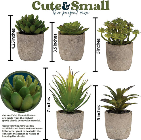 5 Artificial Succulents Plants Artificial Pot Small Fake Plants Bedroom Aesthetic Fake Succulent Plants - Cactus Decor Plants Bedroom Decor Potted Faux Succulents Desk Plant Shelf Decor Living Room