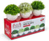 Mini Artificial Plants | Modern Farmhouse Plants Home Decor | Small Fake Plants | Office/Kitchen/Bathroom/Bedroom/Mantle/Shelf/Living Room/Table Decoration Faux Plant Set
