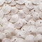 Small Natural White Sand Dollars 50 Pcs- Under 1.25 Inch - Small Sea Shell Perfect for Wedding or Crafts by Tumbler Home