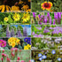 Package of 80,000 Wildflower Seeds - Save The Bees Wild Flower Seeds Collection - 19 Varieties of Pure Non-GMO Flower Seeds for Planting Including Milkweed, Poppy, and Lupine