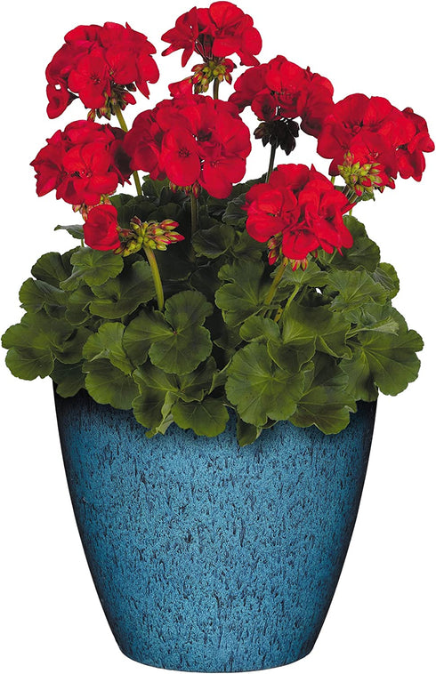 Classic Home and Garden 807-375R Premiere Collection Planter, Vogue 8", Indigo
