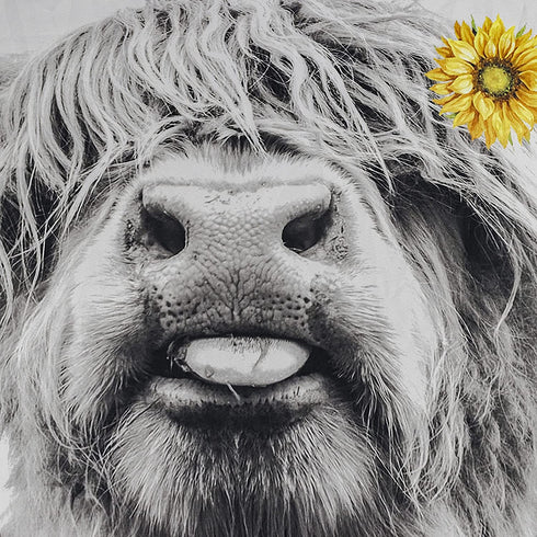 ECOTOB Highland Cow Get Naked Shower Curtain, Grey Funny Farm Animal Highland Cow in Bathtub Shower Curtain Sets, Farmhouse Yellow Floral Sunflower Shower Curtain Hooks Included, 69x70 inches