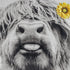 ECOTOB Highland Cow Get Naked Shower Curtain, Grey Funny Farm Animal Highland Cow in Bathtub Shower Curtain Sets, Farmhouse Yellow Floral Sunflower Shower Curtain Hooks Included, 69x70 inches