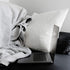 Edow Throw Pillow Insert, Set of 2 Down Alternative Polyester Square Form Decorative Pillow, Cushion,Sham Stuffer. (White, 20x20)
