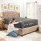Empyrean Bedding Fitted Sheets - Bottom Sheets for Full Size - from 14 Inches Up to 16 Inches Deep Pocket Fitted Sheets - Fitted Bed Sheets Only (Full Charcoal Gray)