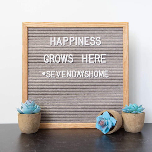 Set of 3 Succulents Plants Artificial Plants Home Decor Indoor Fake Plants Bedroom Aesthetic, Small Fake Plants Living Room Decor Office Desk Decor Women Fake Plant Decor Bathroom Shelf Decor