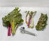 Kuhn Rikon, stainless Leafy Greens Zipper Stainless Steel Stem Removing Tool, 7"