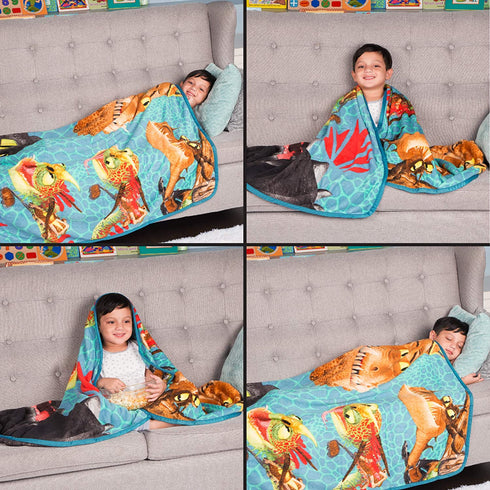 Franco Kids Bedding Super Soft Plush Throw, 46" x 60", How to Train Your Dragon,A39088