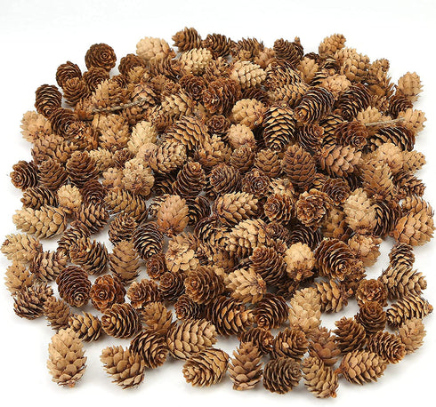 JOHOUSE 200PCS Natural Mini Pine Cones,Natural Pine Cones Christmas Pine Cones PineCones Ornaments for Autumn and Winter Decor Christmas Decorations