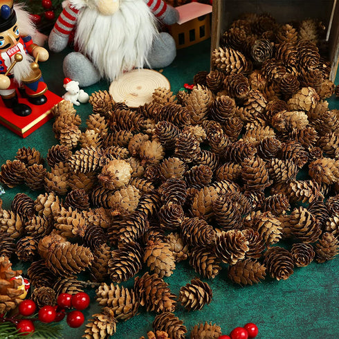 JOHOUSE 200PCS Natural Mini Pine Cones,Natural Pine Cones Christmas Pine Cones PineCones Ornaments for Autumn and Winter Decor Christmas Decorations