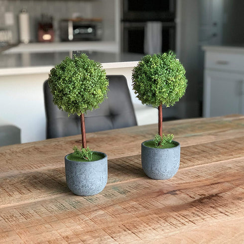 MyGift Artificial Boxwood Topiary Trees, Fake Plants Decor - 12 Inch Faux Tabletop Decorative Small House Plant with Gray Ceramic Pots, Set of 2