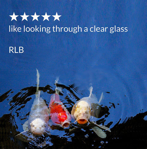 API POND ACCU-CLEAR Pond Water Clarifier 16-Ounce Bottle