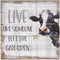 Simply Said, INC Perfect Pallet Petites 8" Wood Sign PET16088- Live Like Someone Left The Gate Open
